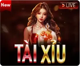 slider tai