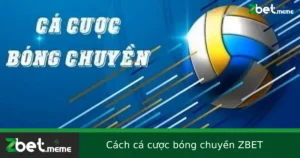 Cách Cá Cược Bóng Chuyền Tại ZBET – Môn Thể Thao Ít Người Chơi Nhưng Dễ Ăn